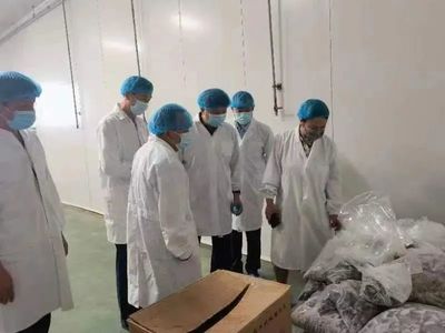 自治区市场监管局到赤峰市调研食品生产监管工作